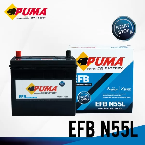 FRAME-PUMA-EFB-N55L-01 FRAME-PUMA-EFB-N55L-01