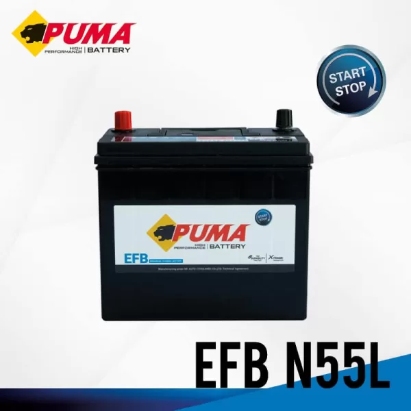FRAME-PUMA-EFB-N55L-02 FRAME-PUMA-EFB-N55L-02