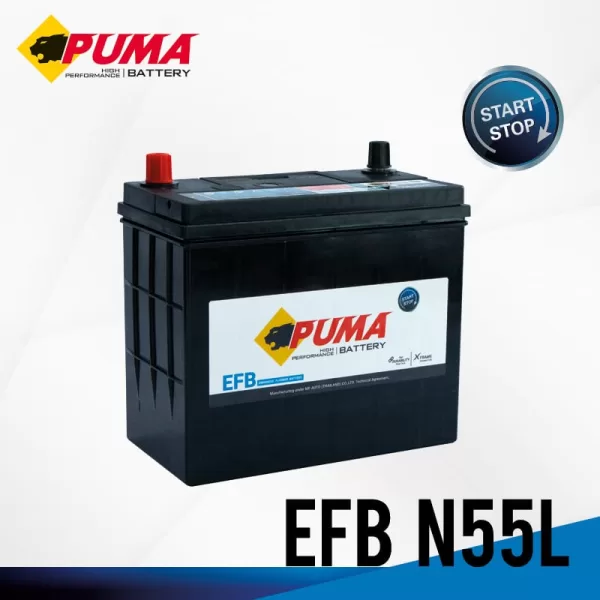 FRAME-PUMA-EFB-N55L-03 FRAME-PUMA-EFB-N55L-03