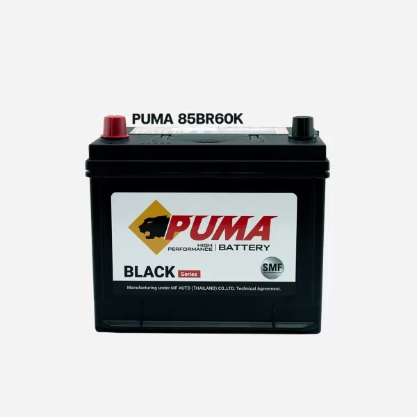 img-product-puma-85BR60K-1 PUMA 85BR60K (55D23R)
