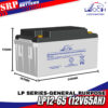 LP12-65 (12V65Ah)