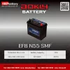 AOKLY-Battery-EFB-N55-SMF