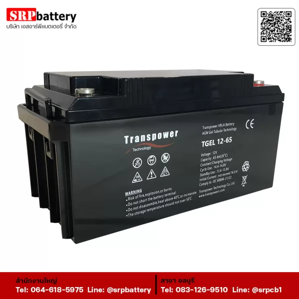 TGEL-12-65