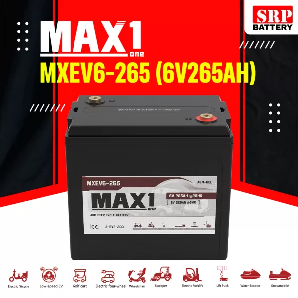 MXEV6-265 (6V265Ah)3