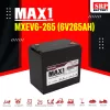 MXEV6-265 (6V265Ah)4