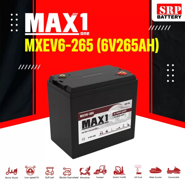 MXEV6-265 (6V265Ah)4