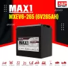 MXEV6-265 (6V265Ah)5