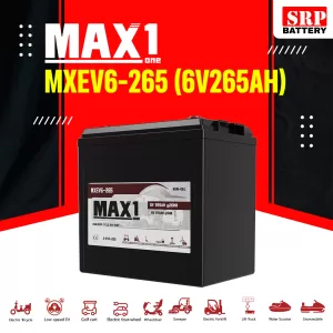 MXEV6-265 (6V265Ah)5