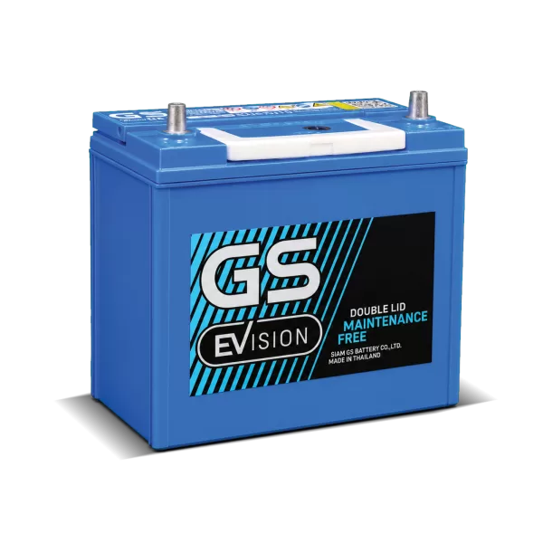 EVS-N55L